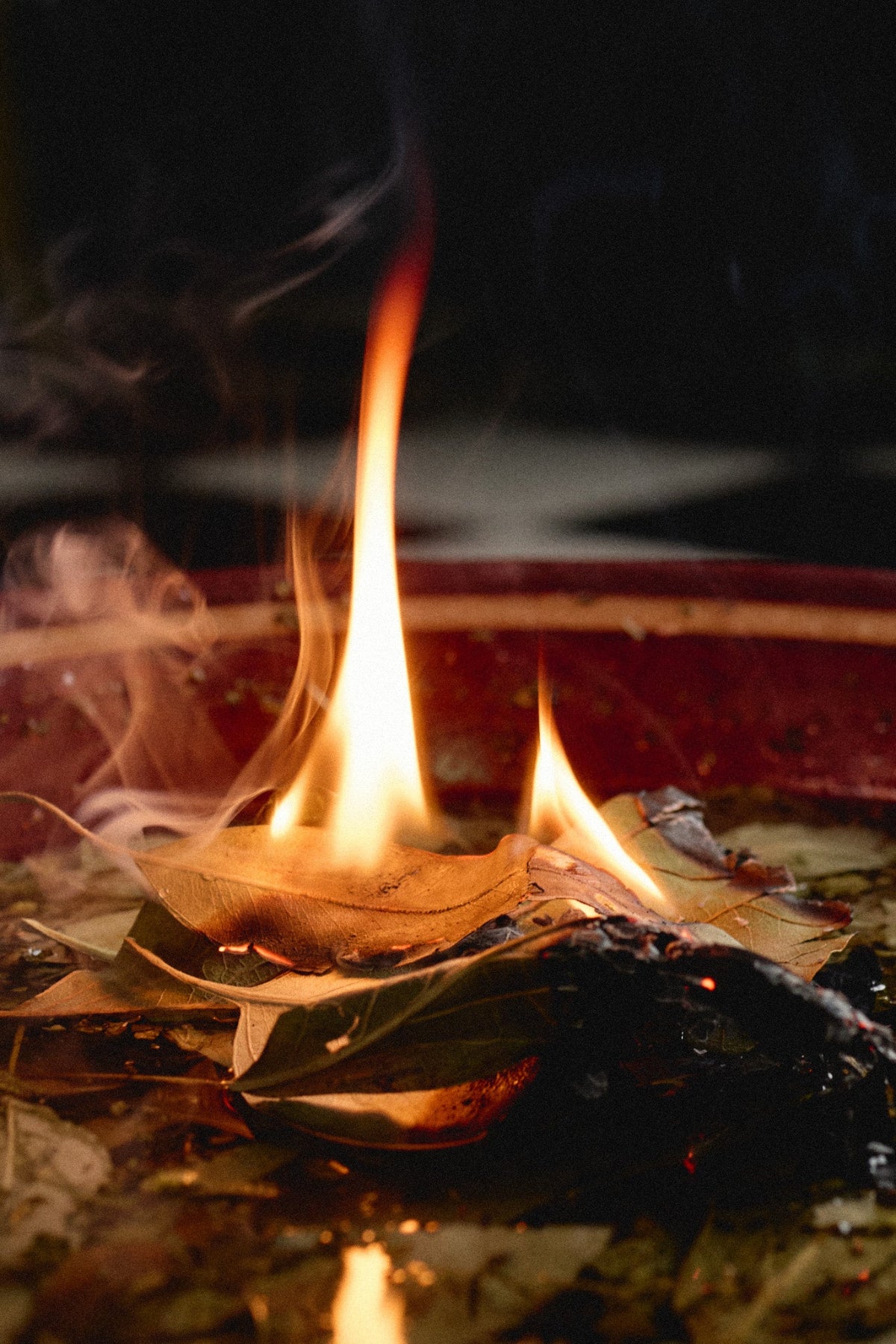 Flaming offering with leaves on a dark background