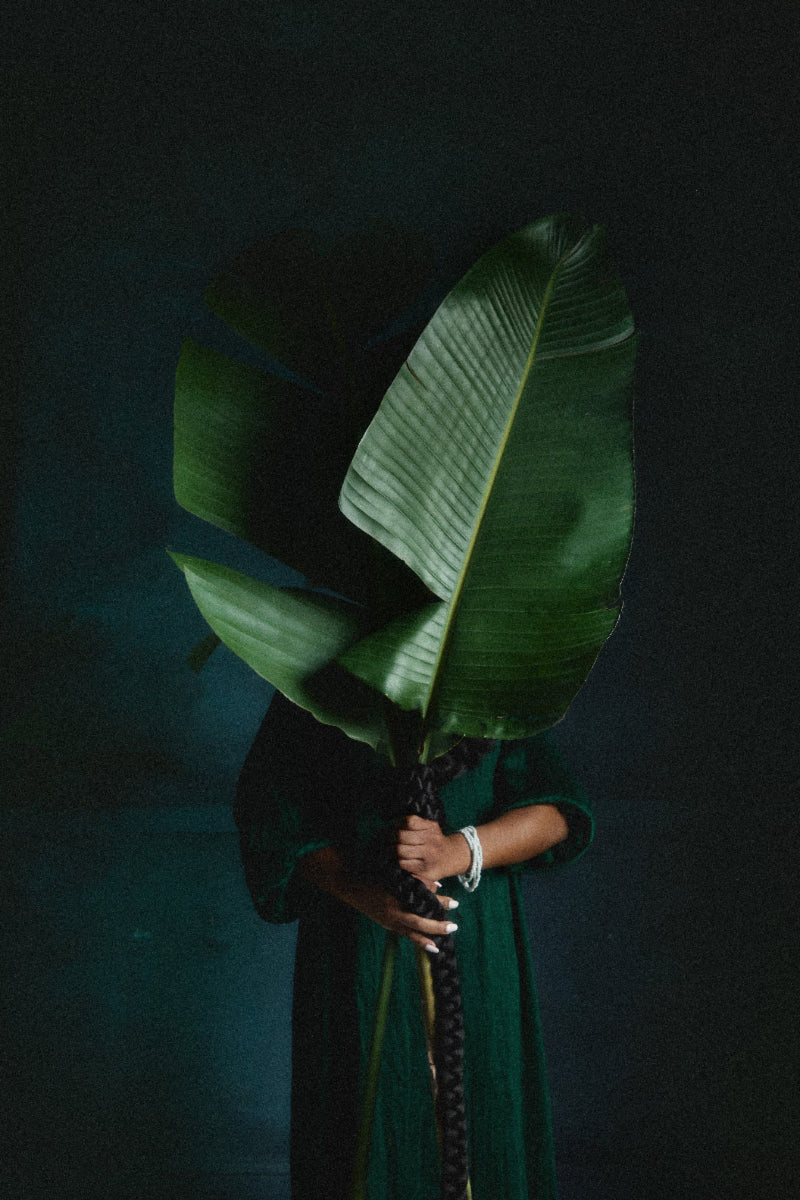 Person holding a large green leaf against a dark background