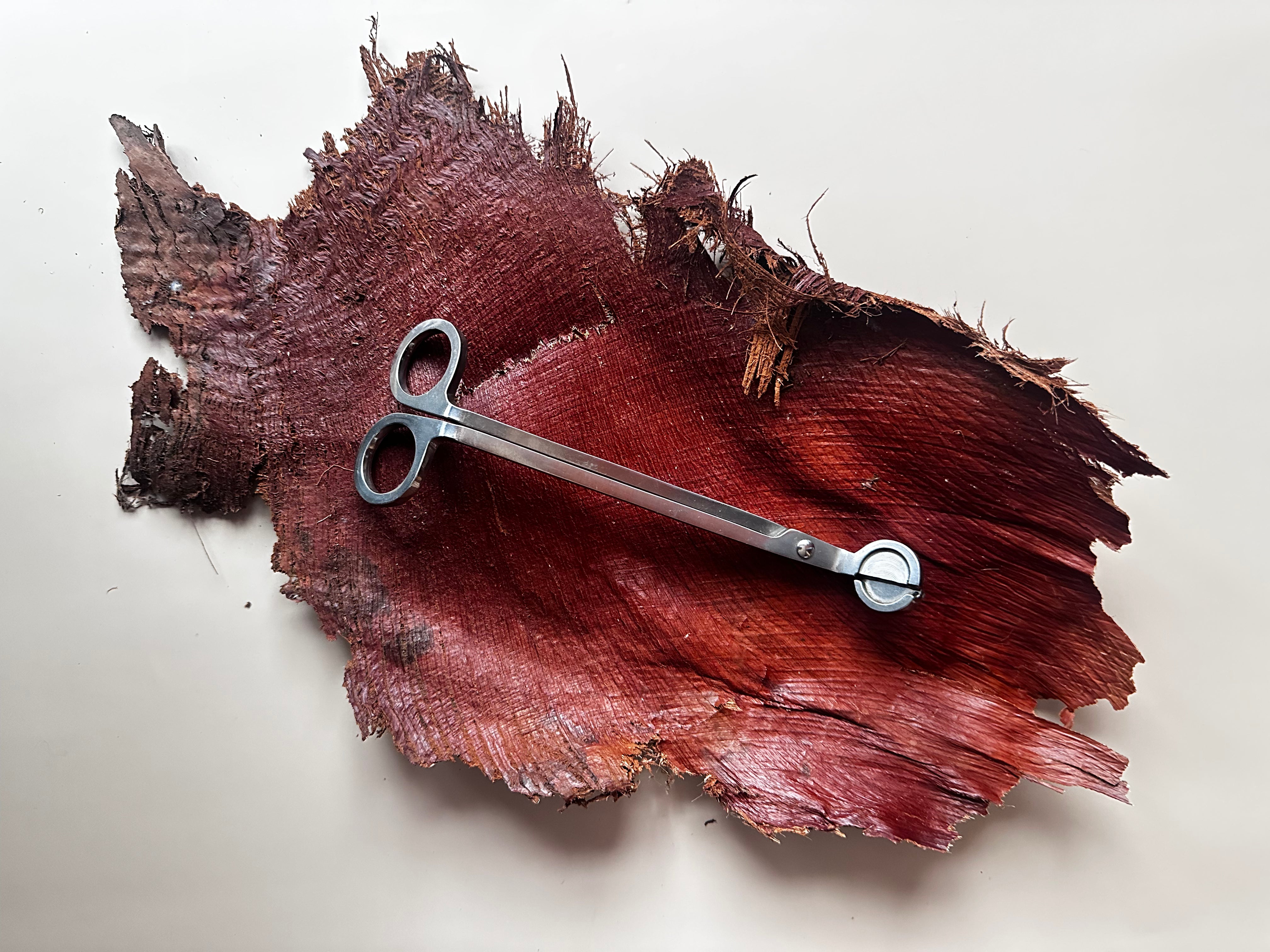 A pair of silver metal scissors with circular handles rests on a textured, dark red and brown piece of wood or leather against a plain off-white background.